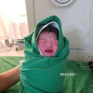[민감한 임신출산]청담마리산부인과 진료,출산후기