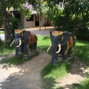 [태국여행]노랑풍선 방콕,파타야 패키지3박5일/태국의 마스코트 코끼리 트래킹 체험, 황금 절벽사원, 실버레이크 포도농장 관광