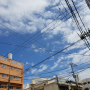 【오키나와여행 마지막날】맑은 날씨, 시노노메 식당, 진에어.. 고마웠어, 오키나와^^