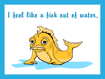 [청주영어학원 씨제이어학원] like a fish out of water : 네이버 블로그