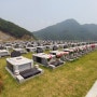 여름으로 접어들고 있는 가운데 대표적 공원묘지 동두천묘원