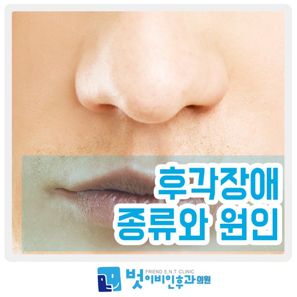후각장애 원인제거가 중요해요! : 네이버 블로그