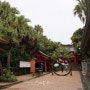 미야자키 가볼만한곳 :) 아오시마 신사 (青島神社) + 도깨비빨래판