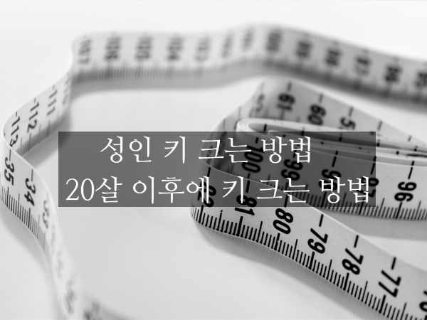 성인 키 크는 방법 / 키 크는 방법 / 20살 이후 키 크는 방법 : 네이버 블로그 성인 키 크는 방법 / 키 크는 방법 / 20살 이후 키 크는 방법 : 네이버 블로그