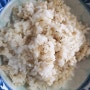 옛날 토종 보리쌀로 꽁보리밥 짓기