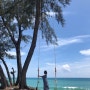 푸켓 - Phuket , JW 메리어트 푸켓 리조트 & 스파 마이 카오 수영장(JW Marriott Phuket Resort & Spa Mai khao) , 터틀 빌리지(TURTLE VILLAGE) 더 커피 클럽(THE COFFEE CLUB) , 푸켓 경유 방콕 , 방콕 수완나품 공항 익스프레스 스파(Express Spa) , 타이항공(Thai Airways) 이용하기