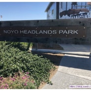 Noyo Headlands Park