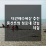 태안해수욕장 추천 몽산포와 청포대 갯벌 체험