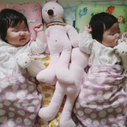 행복한 꿈꾸며 자고있는 제아&제니 일란성쌍둥이들