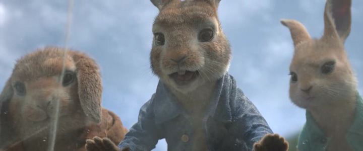 Peter Rabbit -12- Jul. 17, 2018 강의 : 네이버 블로그