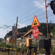 중앙선 철길건널목-봉산2건널목(8571호, 8207호) Railway Crossing KOREA 韓国鉄道 踏み切り 2018