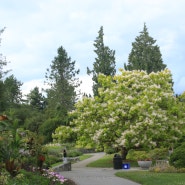 [180707] D+164 _ 충격과 공포의 VanDusen Botanical Garden