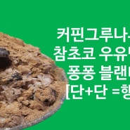 커핀그루나루에서 참초코 우유 빙수, 퐁퐁 블랜디드 먹고 왔어요!(아.. 이건 너무 달잖아..... 그래서 너무 조하.. ☆)