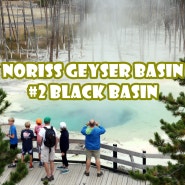[옐로우스톤 국립공원-노리스 지역(2/2)] 세계에서 가장 큰 활화산에서 분출을 많이 볼 수 있었던 Norris Geyser Basin, Black Basin 편!