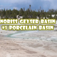 [옐로우스톤 국립공원-노리스 지역(1/2)] 세계에서 가장 큰 활화산이며 간헐천이 가장 많이 집중되어 있는 Norris Geyser Basin, Porcelain Basin 편!