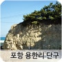 용한리 해안단구 (경북 포항시 북구 흥해읍 용한리)