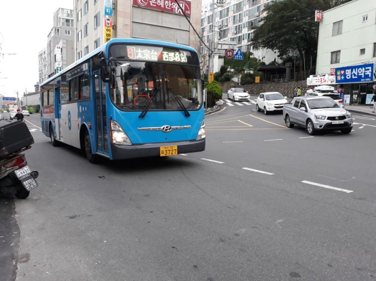 부산 8번 버스 노선정보 : 네이버 블로그