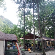 포천 계곡 담터맑은물 캠핑장 후기