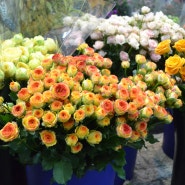 대전 둔산 꽃도매시장 꽃살땐 여기!