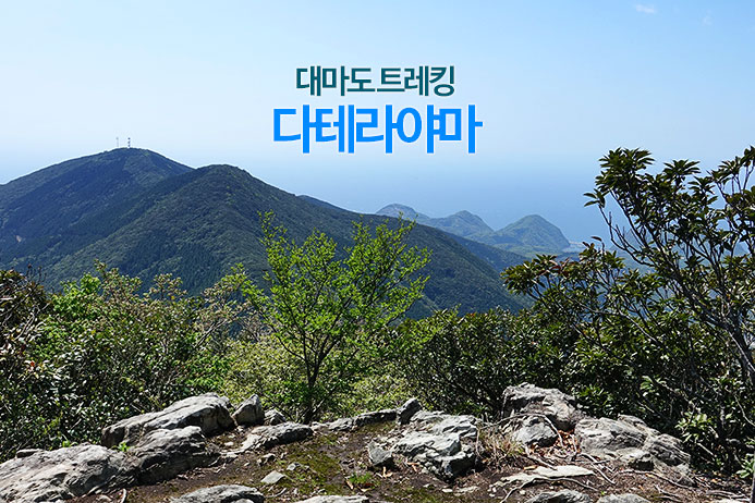 [대마도 등산] 다테라야마(용량산 ; taterayama)