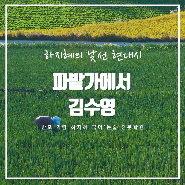 [낯선 현대시 77] 김수영 시인의 '파밭 가에서' 이해와 감상 : 네이버 블로그
