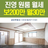 진영 신도시 서어지공원 인근 방 넓고 중문있는 원룸 보200만 월30만