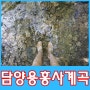 광주근처 취사가능계곡 담양용흥사 계곡