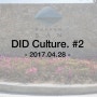 20170428 - Did culture #2