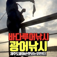 제주도 루어낚시 포인트 / 광어낚시 손맛 보는 행원육상양식단지 앞 / 네이버메인에 뜨다^^