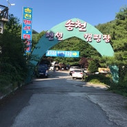 (양주시, 송천캠핑장) 2018년 시즌 스타트, 계곡이 있어 시원한 캠핑장