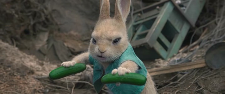 Peter Rabbit - 피터래빗 -20- Jul. 27, 2018 강의 : 네이버 블로그