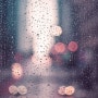 폴킴 (Paul Kim) - 비 (Rain)
