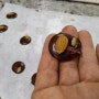 가평체험 한국초콜릿연구소 뮤지엄 박물관에서 초콜릿 만들기 체험