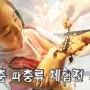 아이들과 가볼만한곳 "용산 곤충파충류 체험전" 용산 어린이 박물관