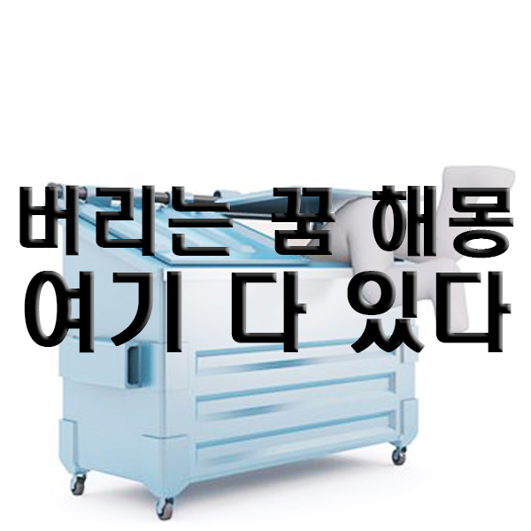 버리는 꿈 해몽 여기 다 있다 : 네이버 블로그