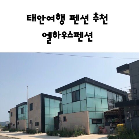 태안여행 펜션추천_태안 반련견 동반 펜션_태안 엘하우스펜션