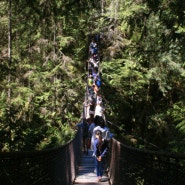 [180722] D+179 _ 초록 초록 Lynn Canyon Park