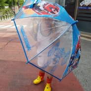 비 안오는데 우산과 장화가 웬말이냐 유아 청개구리 심리
