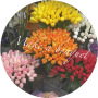 고속터미널 꽃시장 _ 셀프웨딩 부케, 부토니에, 화관 만들기