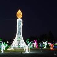 <태안 안면도> 태안 빛축제 백합꽃축제