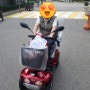[부천]노인전동휠체어/전동차로 폭염을 시원하게!!
