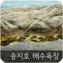 송지호 해수욕장 (강원도 고성군 죽왕면)