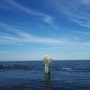 포항 호미곶