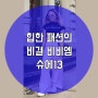 감정동선글라스 슈에13으로 스트릿 패션 완성하기!