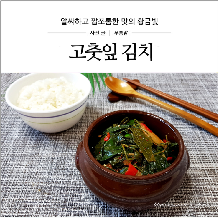 고춧잎 고추잎김치 맛의 황금빛 : 네이버 블로그