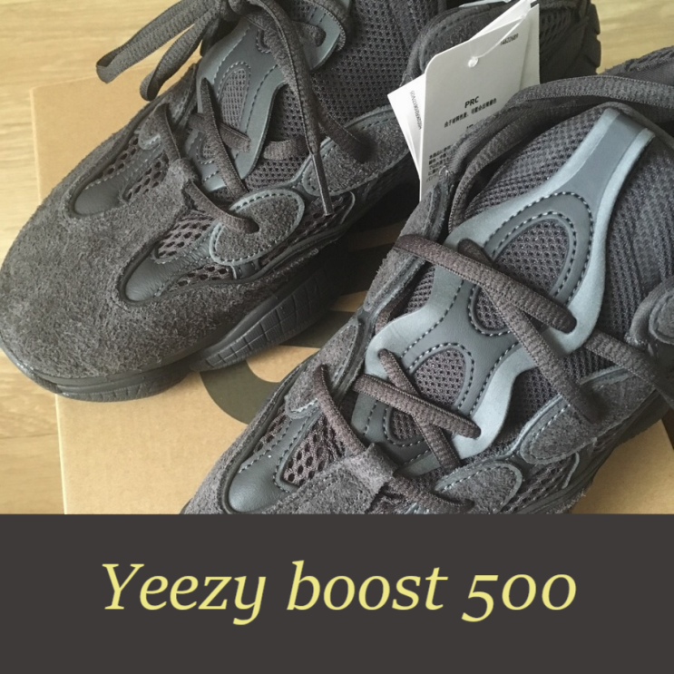 Cheap Size 95 Adidas Yeezy Boost 350 V2 Clay 2019