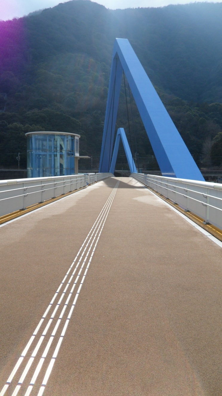 BEPPU : 타카사키산(원숭이산).