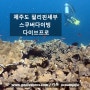 제주도(세부)에서 스쿠버 다이빙 다이버 가 되는 6 가지 혜택과 방법?