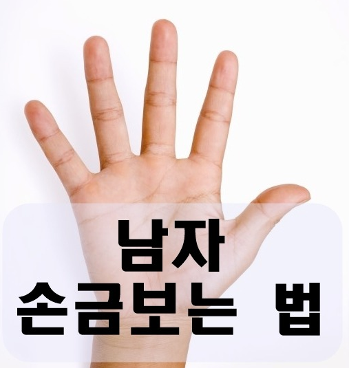 남자 손금 보는법 성공하는 남자 손금? : 네이버 블로그