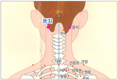 누르면 거짓말처럼 시원해지는 두통에 좋은 지압점 풍지혈 효능과 위치 : 네이버 블로그